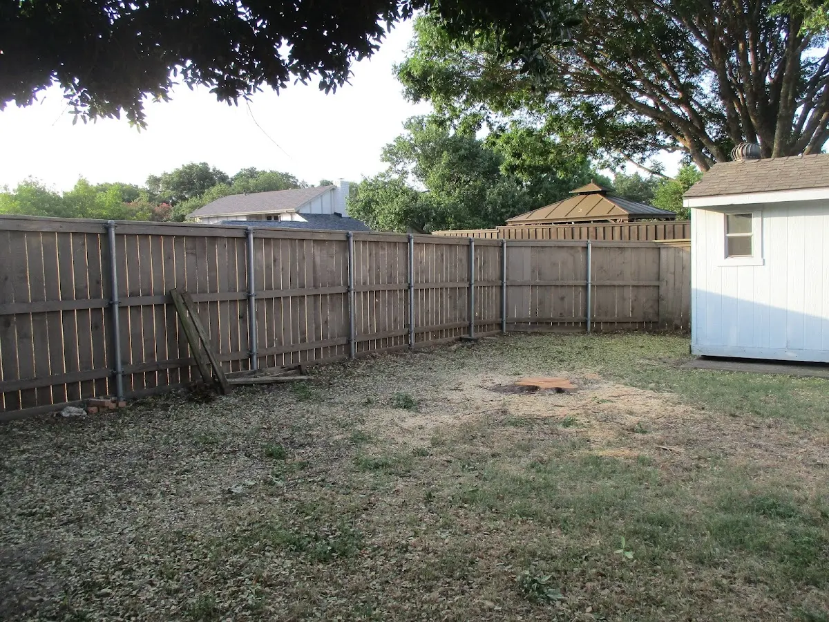 Cleared yard after professional tree removal in Rewey
